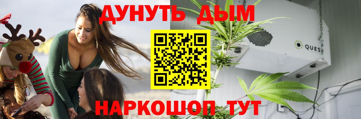 Каннабис сатива  Вход с VPN  Конопля Amnesia  Мурманск 